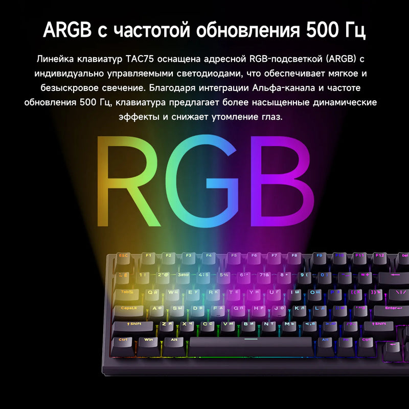 Akko TAC75 HE Magnetic Switch Keyboard 75% Russian Layout Rapid Trigger 0.005mm ARGB 8K Polling Rate Wired Gamer Custom Keyboard