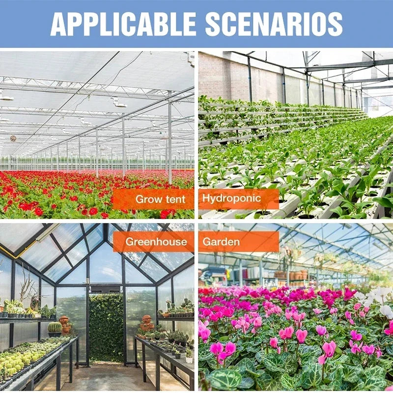 LED Full Spectrum Phytolamp For Plants Grow Light Indoor Flower Growth Seeds Hydroponics Cultivation Phyto Lamp Quantum Board