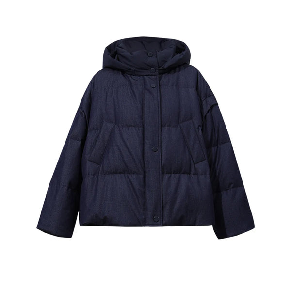 Amii 2-in-1 Down Vest Warm Commuter Minimalist Winter 2026 Detachable Sleeves Hood Oversized Women Puffer Jacket 12654015