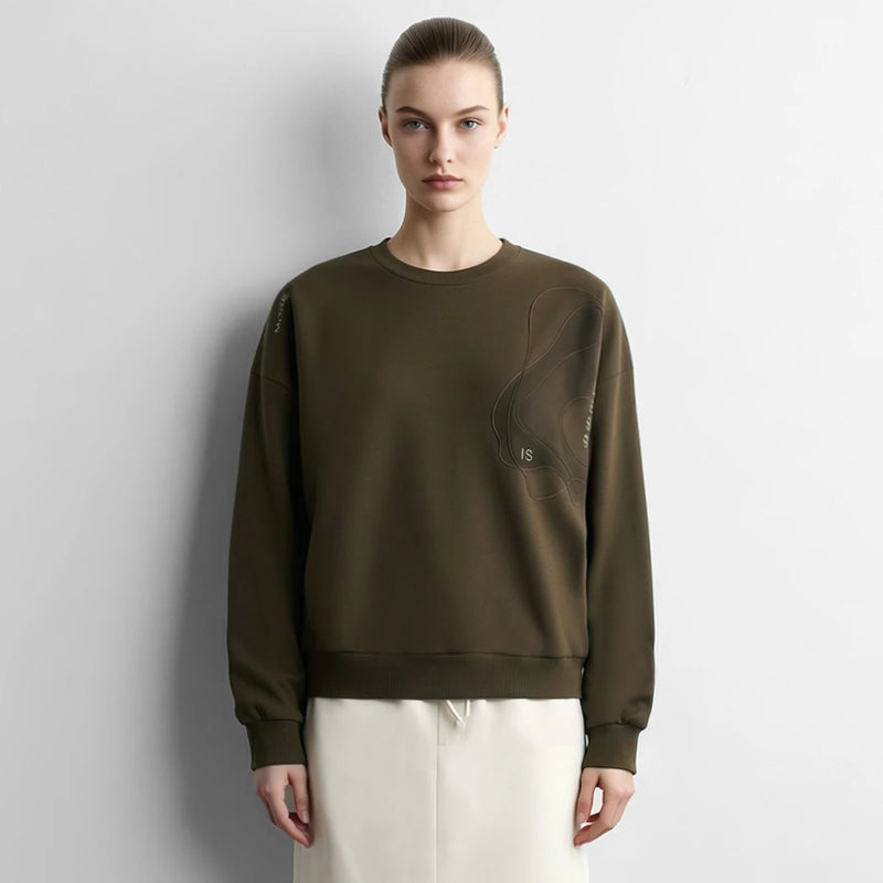 Amii Woman Sweatshirts 2026 Autumn New Crew Neck Drop Shoulder Long-sleeve Top Letter Embroidered Loose Casual Sweater 12623010