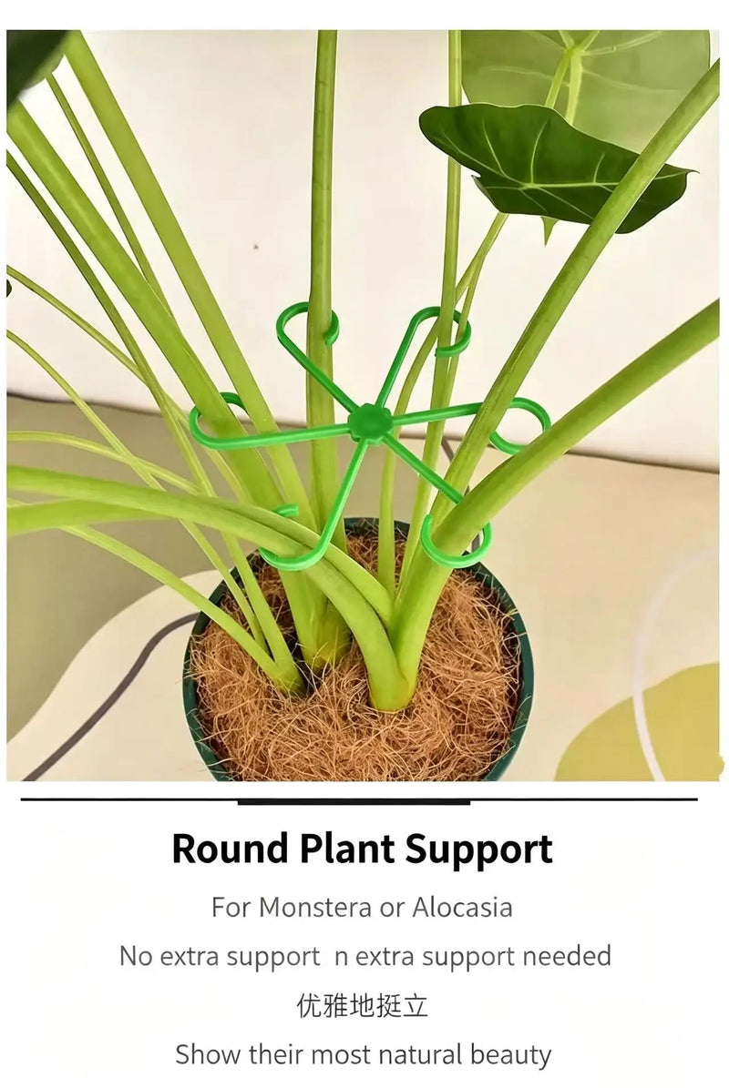 Plant Stem Support 4pce - Plant Fixing Clip, Plant Climbing Support Frame, Flower Stem Retaining Frame
