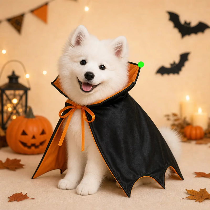 Halloween Vampire Cape for Cats & Small Dogs, Black Orange Bat Wing Pet Costume with Glowing Beads, Adjustable Elastic Straps
