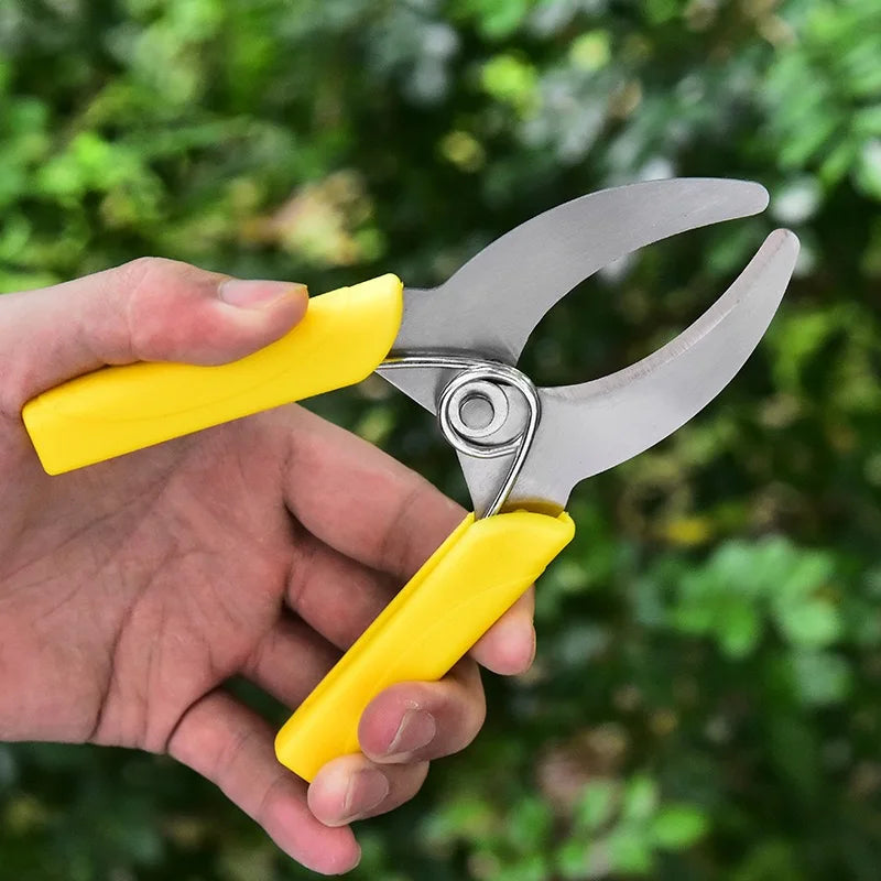 Stainless Steel Fruit Tree Pruning Shears Branch Cutting Bark Ring Peeling Gardening Scissors for Home Garden