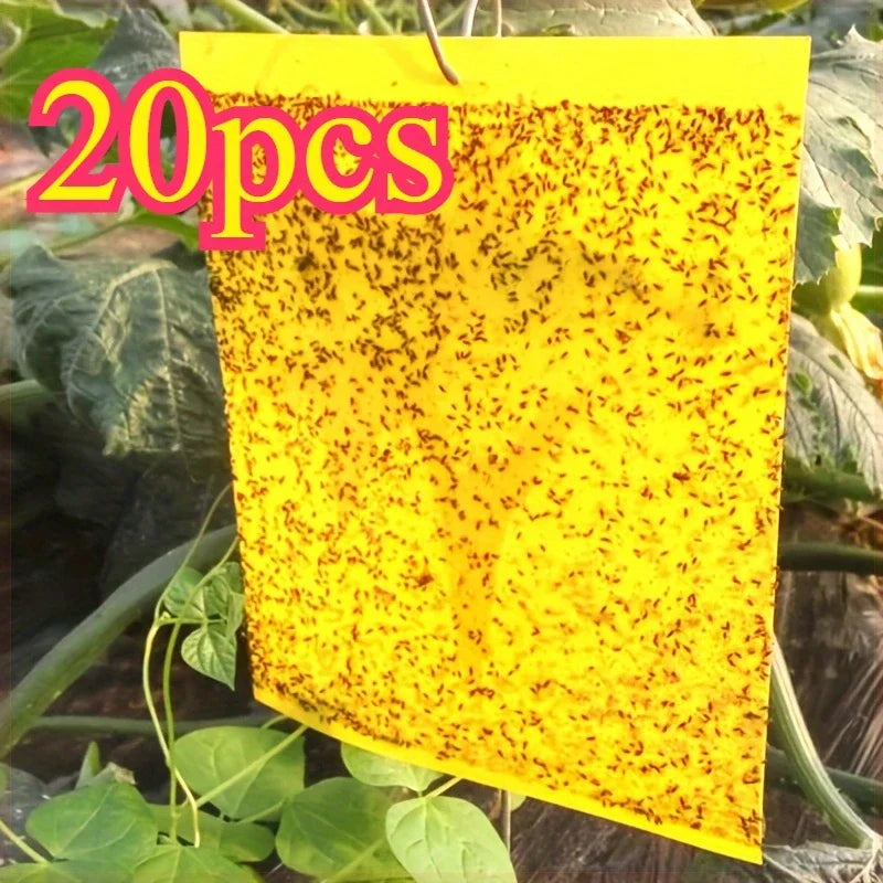កញ្ចប់ផ្ទាំងអន្ទាក់ស្អិតសងខាង ២០បន្ទះ - ឧបករណ៍ទាក់រុយនិងសត្វល្អិតគ្មានជាតិពុល បន្ទះប៉ូលីប្រូភីឡែនពណ៌លឿង/ខ្មៅជាប់បានយូរសម្រាប់ផ្ទះកញ្ចក់និងប្រើប្រាស់ក្នុងផ្ទះ