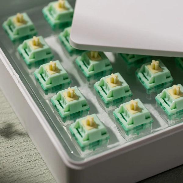 Akko Cilantro Switch 5 Pins 36gf Deep Clack Tactile Switch Factory Lubed Compatible with Cherry MX Mechanical Keyboard (45 pcs)