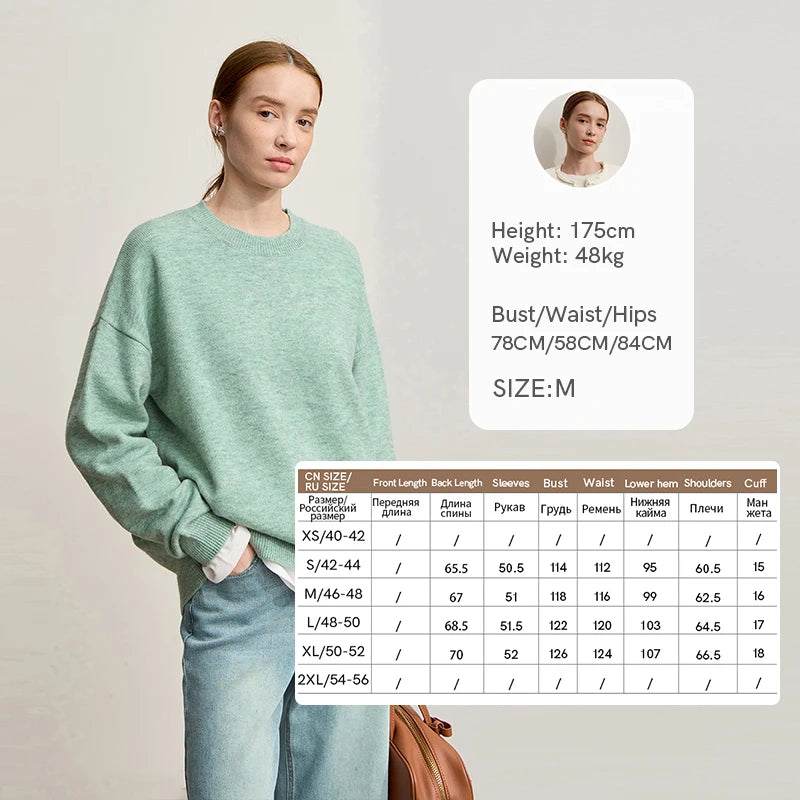 Amii Woman Minimalist Knit Pullover Versatile Casual O-Neck Loose Warm Basic Tops 2026 Winter New Sweater for Ladies 12554059