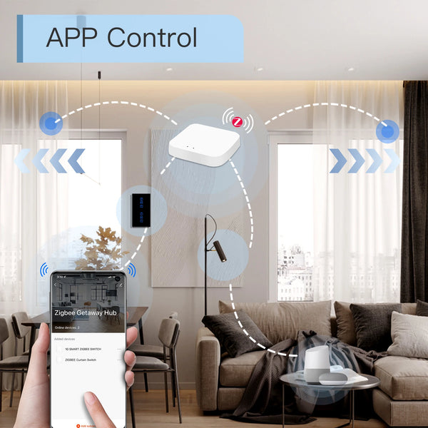 BSEED Tuya Smart Zigbee កុងតាក់វាំងននប៉ះឥតខ្សែពីរជាន់ Google Home Smart Life Alexa Echo Voice Control 5A
