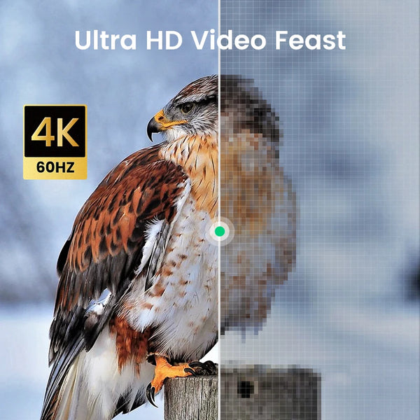 ខ្សែ UGREEN Micro HDMI ដែលអាចប្រើជាមួយ 4K/60Hz បែបផែន 3D Micro HD ទៅ HD ខ្សែបុរសទៅបុរស សម្រាប់ GoPro Sony Projector ដែលអាចប្រើជាមួយ HDMI Micro