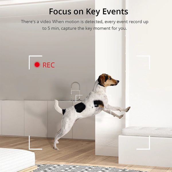 កាមេរ៉ា SONOFF 1080P HD Wi-Fi IOT CAM កាមេរ៉ាសុវត្ថិភាពផ្ទះឆ្លាតវៃស្តើង ភ្ជាប់ជាមួយសំឡេងរោទិ៍ Motion Detection តាមរយៈ eWeLink Alexa Google