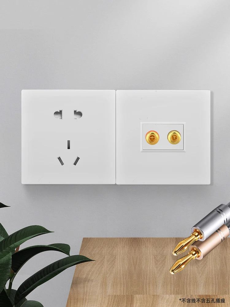 Eu standard 2 4 port speaker speaker audio wall socket, KTV bar headset microphone connected socket audio cable audio panel