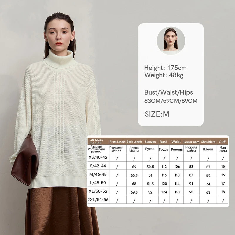 AMII Women's Sweater 2026 Winter New Warm Commuter Versatile Turtleneck Sweaters For Women Retro Long Sleeve Knitwear 12544112