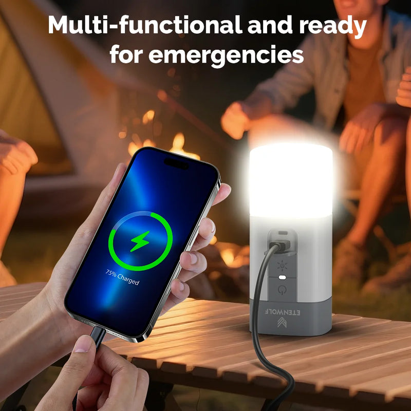 ស្នប់ខ្យល់អគ្គិសនី ETENWOLF AIR 5 PRO 720 LPM 4X Quick 10400 mAh ស្នប់ខ្យល់ចល័តសម្រាប់អណ្តែតទឹកក្នុងអាង