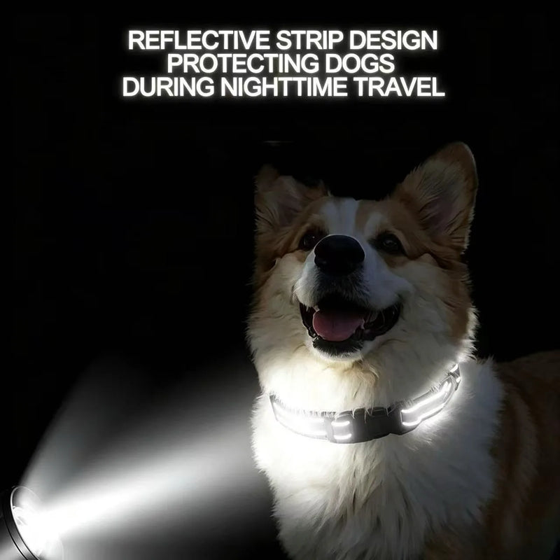 Reflective Dog Collar with Double D-Ring, Adjustable Heavy Duty Pet Collar, Durable Walking Neck Collar for Small Medium Large
