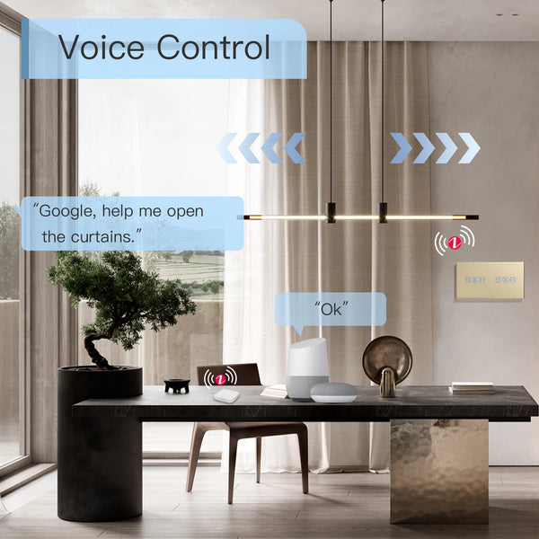 BSEED Tuya Smart Zigbee កុងតាក់វាំងននប៉ះឥតខ្សែពីរជាន់ Google Home Smart Life Alexa Echo Voice Control 5A
