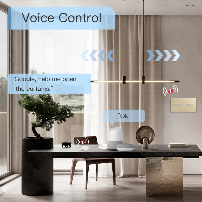 BSEED Tuya Smart Zigbee Curtain Switch Double Wirelss Touch Curtain Switch Google Home Smart Life Alexa Echo Voice Control 5A