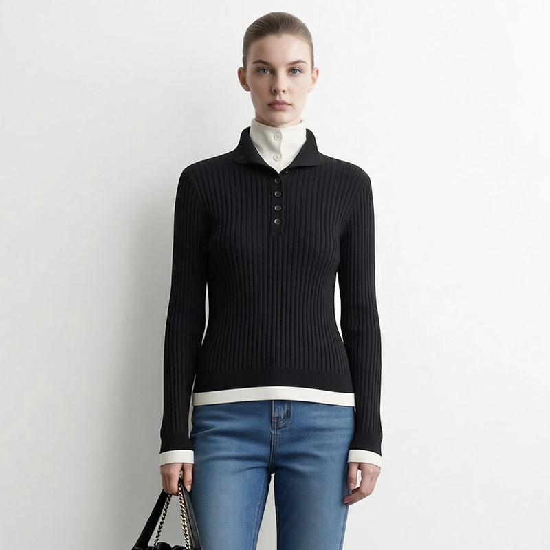 Amii Women's Sweater High Neck Top Autumn Clothes Minimalist Color Block Long Sleeve Slimming Business Casual For Women 12653039