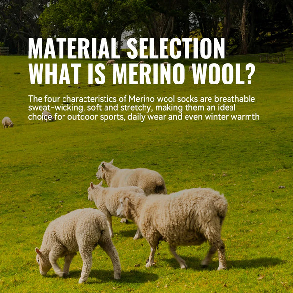WRELS 1/2/3 Pairs Trekking Socks Merino Wool Moisture Wicking Crew Socks Thermal Cushioned Anti Blister Outdoor Hiking Work Sock