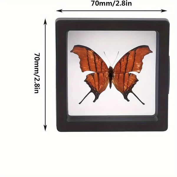 4pcs floating display box,dust-proof jewelry packaging,transparent storage box for necklace,bracelet.Gift Boxes for Retail Use.