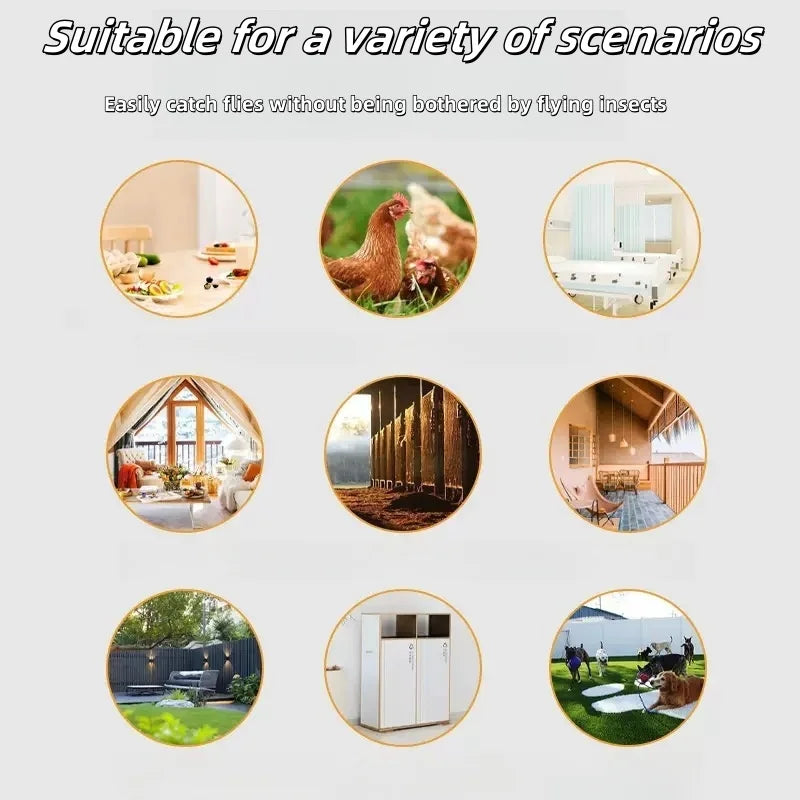 10 green live fly traps-powerful fly stickers, suitable for home, garden and indoor use-do not need electricity