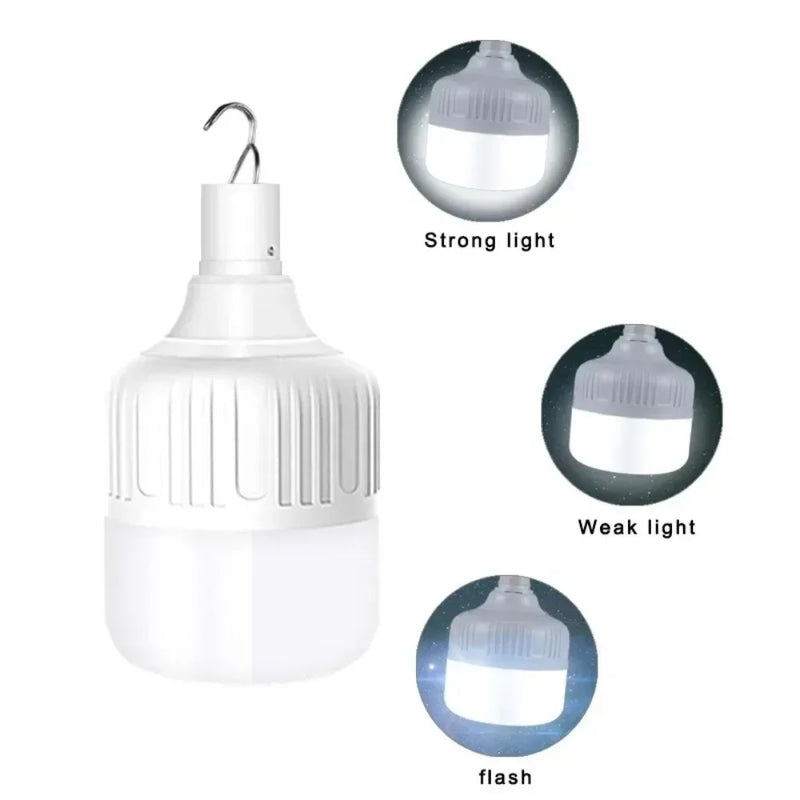 ចង្កៀងតង់ LED ចល័ត JOYINLED 20W/30W/60W/80W, ចង្កៀងបោះតង់ដែលអាចសាកបាន, ភ្លើងសង្គ្រោះបន្ទាន់ក្រៅផ្ទះ USB សម្រាប់ BBQ Patio Garden