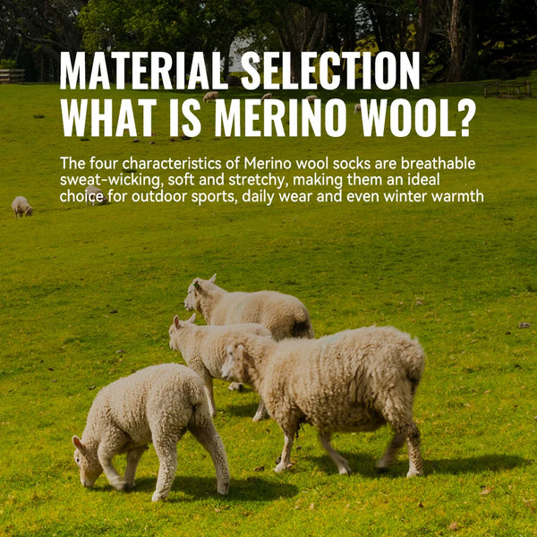 WRELS 1/2/3 Pairs Merino Wool Socks Cushioned Trekking Crew Socks Moisture Wicking Seamless Outdoors Hiking Thermal  Socks