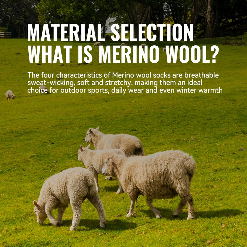 WRELS 1/2/3 Pairs Merino Wool Socks Cushioned Trekking Crew Socks Moisture Wicking Seamless Outdoors Hiking Thermal  Socks