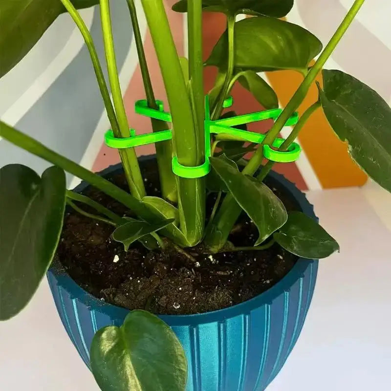 Plant Stem Support 4pce - Plant Fixing Clip, Plant Climbing Support Frame, Flower Stem Retaining Frame