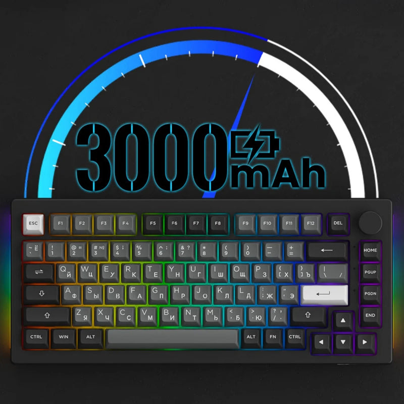 Akko 5075B Plus Mechanical Keyboard 75% ANSI ASA Profile Russian Keycaps RGB 2.4G&Blutooth Wireless/Wired Gaming Keyboard Gasket