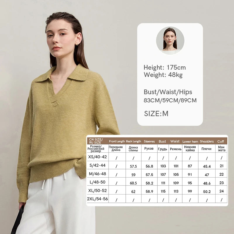 AMII Women's Minimalist Autumn Sweater 2026 New Solid Loose Commuter V-neck Pullover Long Sleeve Tops Female Clothing 12544108
