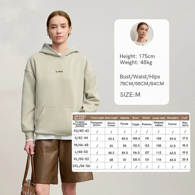 AMII Woman Sweatshirts 2026 Winter New Embroidery Hooded Knitting Sweatshirts for Ladies Long Sleeve Loose Casual Top 12544130