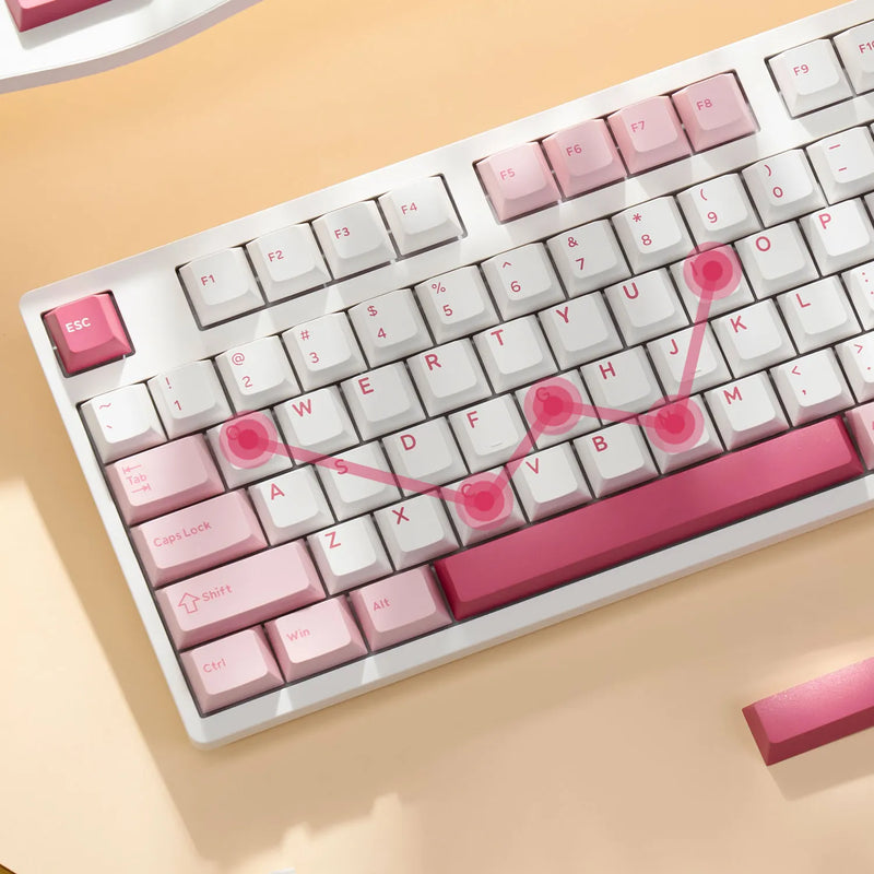 Akko 3108RF Mechanical Keyboard 100% Full Size RGB Cherry/MOA Profile Keycaps 2.4GHz & Wired Dual-mode Keyboard for Office Game