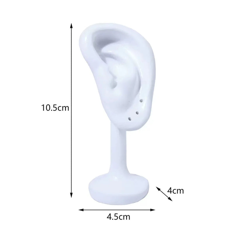 Simulation Ear Earring Display Stand, Jewelry Store Live broadcast Stand, Earring and Ear Stud Model Display Prop