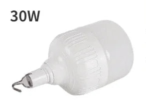 ចង្កៀងតង់ LED ចល័ត JOYINLED 20W/30W/60W/80W, ចង្កៀងបោះតង់ដែលអាចសាកបាន, ភ្លើងសង្គ្រោះបន្ទាន់ក្រៅផ្ទះ USB សម្រាប់ BBQ Patio Garden