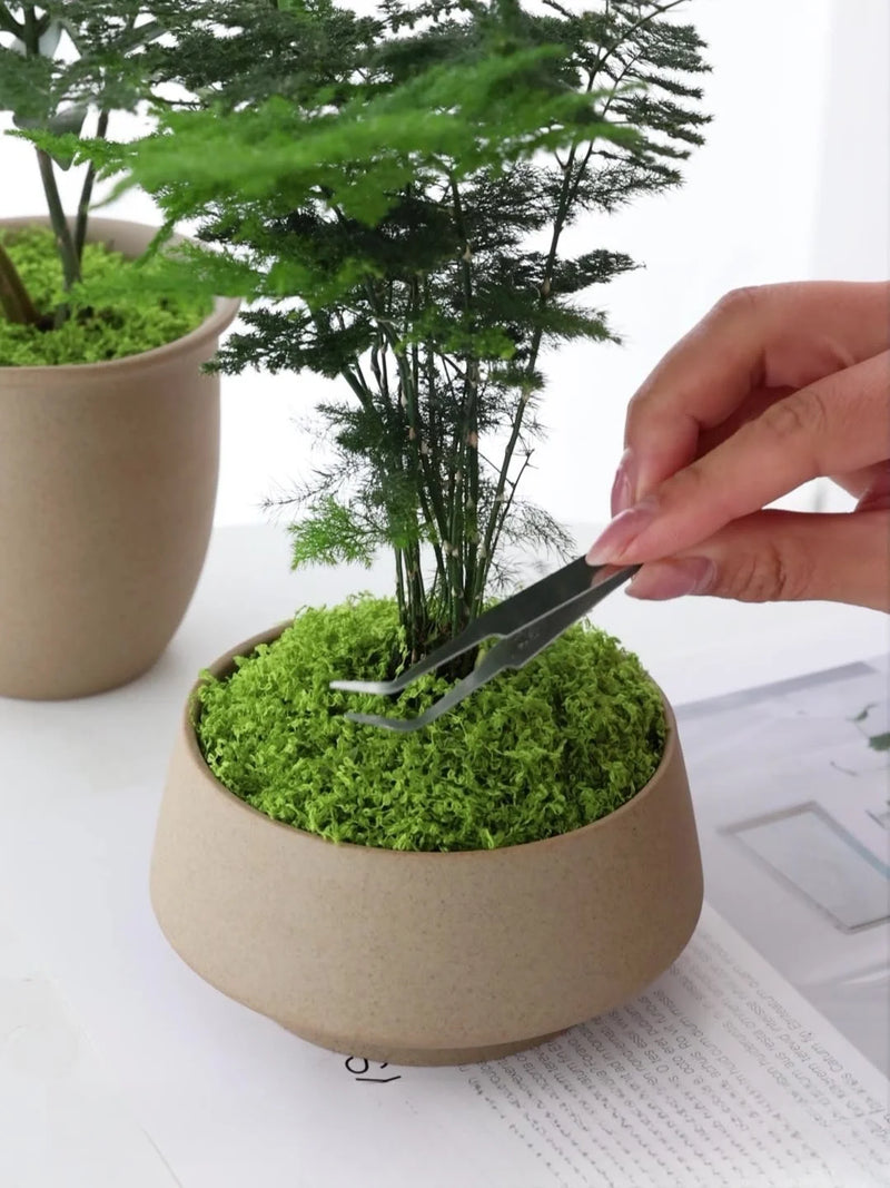 Artificial moss filaments moss lawn people fake moss do not fade DIY scene layout