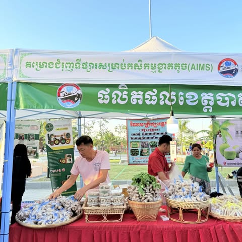 People at an outdoor event with a booth displaying mushrooms and other items under a green and white tent.