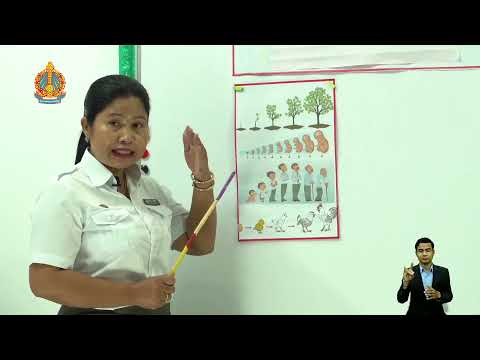 ថ្នាក់ទី៥ វិទ្យាសាស្ត្រ