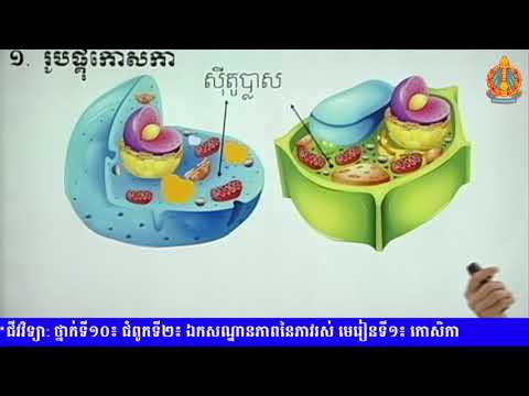 ថ្នាក់ទី១០ ជីវវិទ្យា