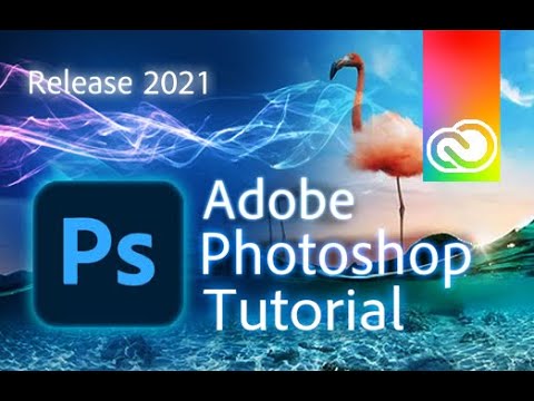 A Quick Full Guide for Adobe Creative Cloud 2021