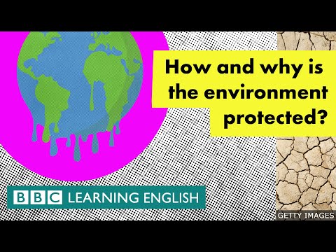 How to protect the environment