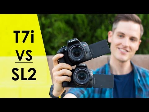 Best Canon Cameras for Video and YouTube (Camera Review Series)
