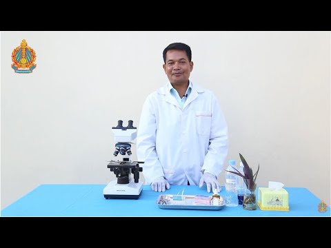 ថ្នាក់ទី១០ ជីវវិទ្យា ពិសោធន៍ តាមគោលវិធីស្ទែម