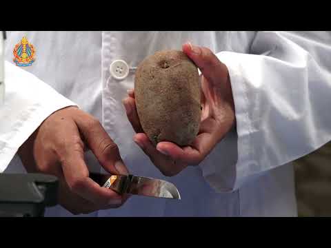 ថ្នាក់ទី១១ ជីវវិទ្យា ពិសោធន៍តាមគោលវិធីស្ទែម