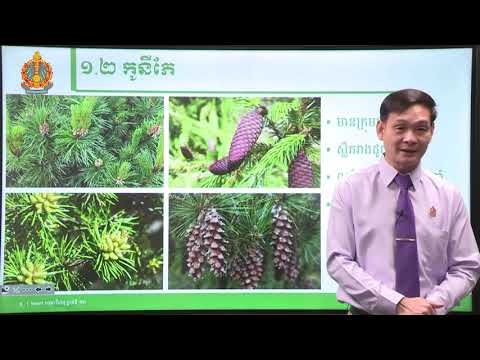 ថ្នាក់ទី១២ ជីវវិទ្យា (Smart1000Videos)