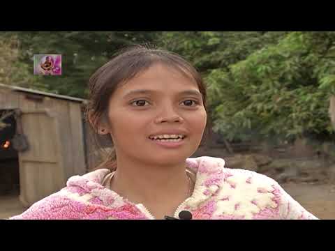 អប់រំមាតាបិតា