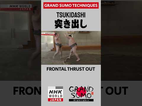 Sumo Techniques [Shorts]