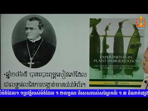 ថ្នាក់ទី១១ ជីវវិទ្យា