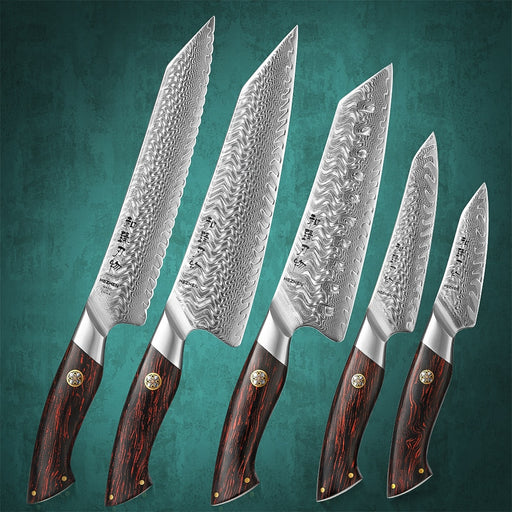 HEZHEN 5PC Knife Set Chef Knife 73 Layers Damascus Steel Kitchen Knives Cooking Tools Powder Steel Core Cutlery Default Title