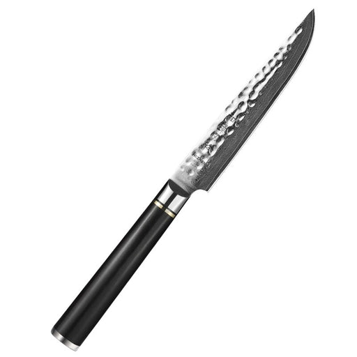 HEZHEN 5 Inches Steak Knife 67 Layer Damascus Steel 10Cr15MoV Core Steel Cook Tools Vacuum Heat Treatment Kitchen Knives steak knife