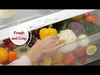Refrigerator_Linear Top Freezer