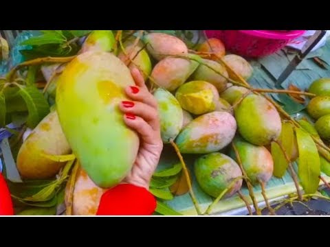 Cambodian food videos